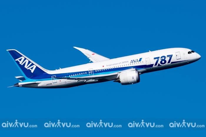 All Nippon Airways Introduction