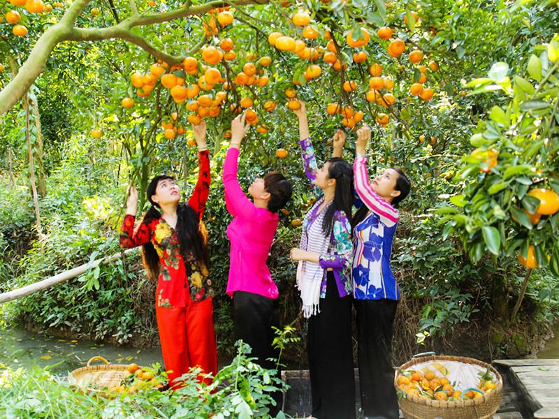 Miệt vườn Mỹ Khánh, Cần Thơ