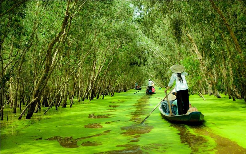 Rừng tràm Trà Sư, An Giang
