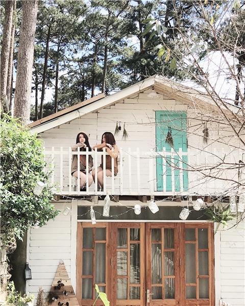 Homestay Reply 1994