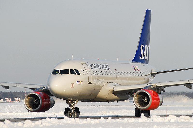 scandinavian-airlines-airbus-a319-251.jpeg