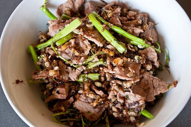 Kiến xào thịt bò