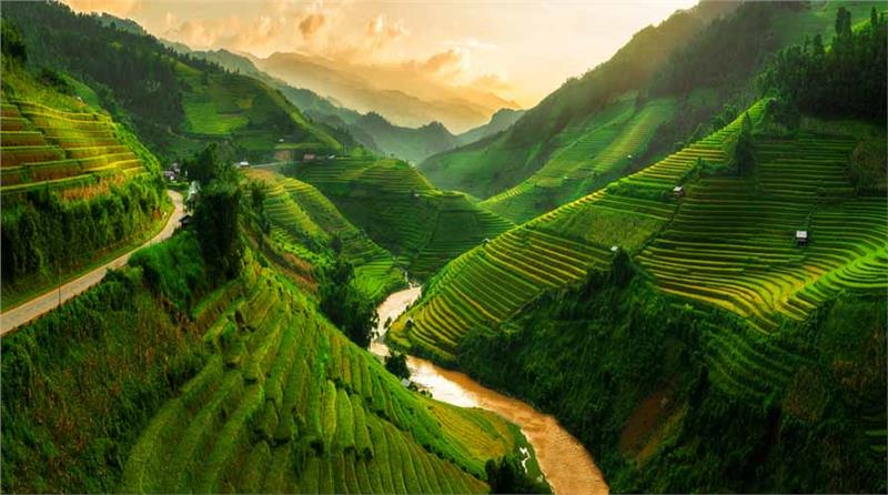 Mù Căng Chải