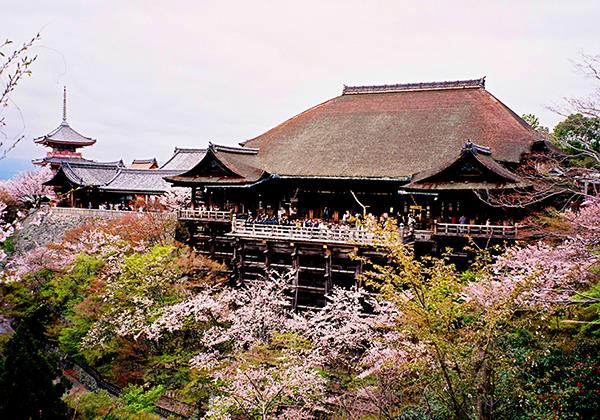 Chùa Kiyomizu Dera