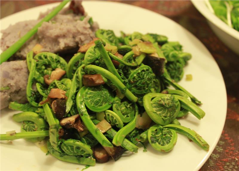 Salad dương xỉ