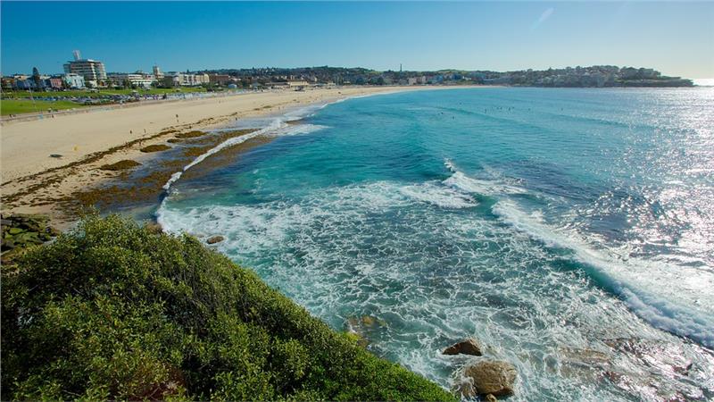 Biển Bondi