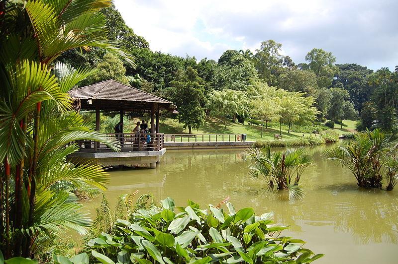 singapore-botanic-gardens-771.jpeg