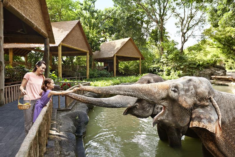 Công viên thủy sinh Chiang Mai