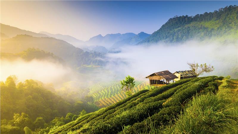 Cung điện mùa hè.
