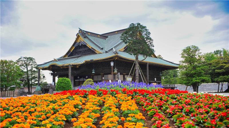 Vé máy bay đi Narita giá rẻ Vé máy bay đi Narita giá rẻ