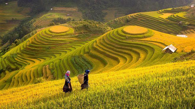 Vẻ đẹp của các thửa ruộng bậc thang