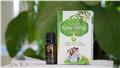 Tinh dầu răng miệng Tâm An (Giảm giá 50% - Tích điểm) Tinh dầu răng miệng Tâm An (Giảm giá 50% - Tích điểm)